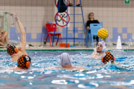 KS Waterpolo Poznań - KSZO Ostrowiec Świętokrzyski  Foto: lepszyPOZNAN.PL/Ewelina Jaskowiak