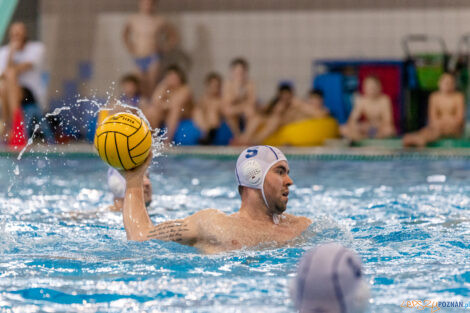 KS Waterpolo Poznań - KSZO Ostrowiec Świętokrzyski  Foto: lepszyPOZNAN.PL/Ewelina Jaskowiak