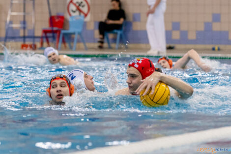 KS Waterpolo Poznań - KSZO Ostrowiec Świętokrzyski  Foto: lepszyPOZNAN.PL/Ewelina Jaskowiak