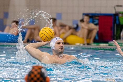 KS Waterpolo Poznań - KSZO Ostrowiec Świętokrzyski  Foto: lepszyPOZNAN.PL/Ewelina Jaskowiak