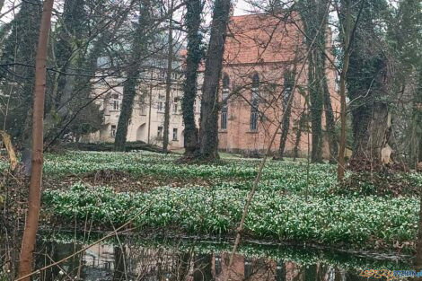 Śnieżyce w Turwii  Foto: materiały prasowe / ICHB PAN