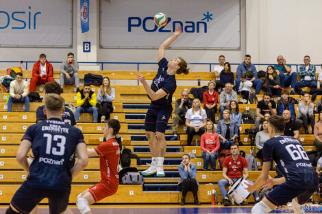 Enea Energetyk Poznań -  BKS Chemik Bydgoszcz  Foto: lepszyPOZNAN.pl/Piotr Rychter