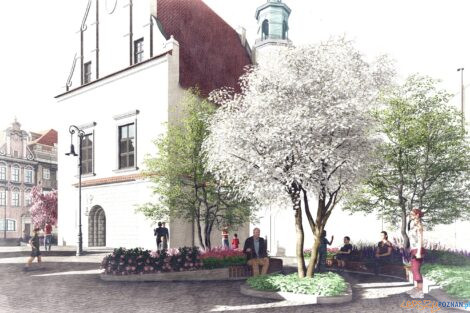 Lawki Stary Rynek 2023 (6)  Foto: 