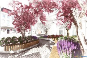 Lawki Stary Rynek 2023 (4)  Foto: 