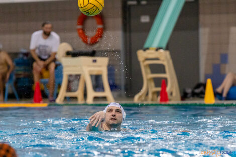 KS Waterpolo Poznań - KSZO Ostrowiec Świętokrzyski  Foto: lepszyPOZNAN.PL/Ewelina Jaskowiak