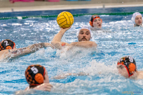 KS Waterpolo Poznań - KSZO Ostrowiec Świętokrzyski  Foto: lepszyPOZNAN.PL/Ewelina Jaskowiak