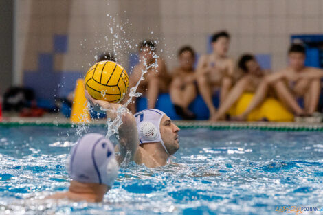 KS Waterpolo Poznań - KSZO Ostrowiec Świętokrzyski  Foto: lepszyPOZNAN.PL/Ewelina Jaskowiak