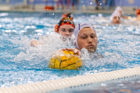 KS Waterpolo Poznań - KSZO Ostrowiec Świętokrzyski  Foto: lepszyPOZNAN.PL/Ewelina Jaskowiak