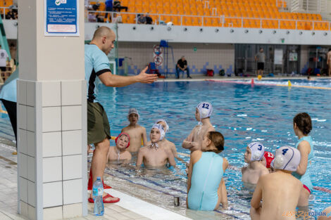 Międzywojewódzkie Mistrzostwa Młodzików w Piłce Wodnej  Foto: lepszyPOZNAN.PL/Ewelina Jaskowiak