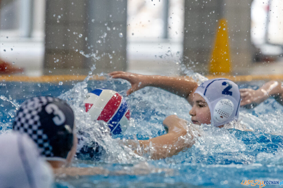 Międzywojewódzkie Mistrzostwa Młodzików w Piłce Wodnej  Foto: lepszyPOZNAN.PL/Ewelina Jaskowiak