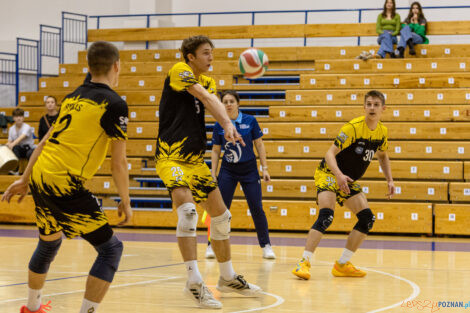 SMS Sparta AGH Kraków - ZAKSA Kędzierzyn-Koźle  Foto: lepszyPOZNAN.pl/Piotr Rychter