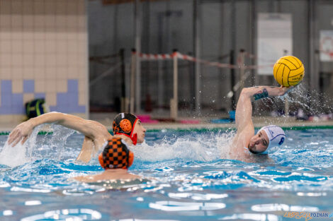 KS Waterpolo Poznań - KSZO Ostrowiec Świętokrzyski  Foto: lepszyPOZNAN.PL/Ewelina Jaskowiak