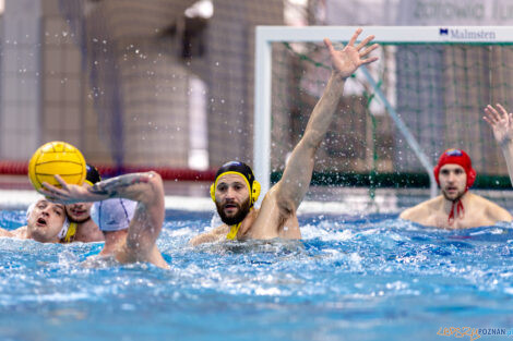 KS Waterpolo Poznań - ŁSTW Waterpolo Łódź  Foto: lepszyPOZNAN.pl/Piotr Rychter