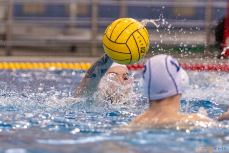 KS Waterpolo Poznań - ŁSTW Waterpolo Łódź  Foto: lepszyPOZNAN.pl/Piotr Rychter