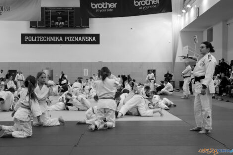 Brother Champion Judo Camp  Foto: materiały prasowe