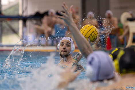 KS Waterpolo Poznań - ŁSTW Waterpolo Łódź  Foto: lepszyPOZNAN.pl/Piotr Rychter