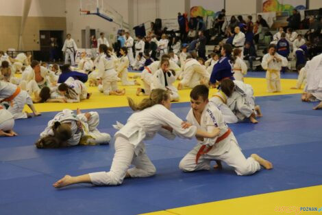 Brother Champion Judo Camp  Foto: materiały prasowe