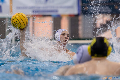 KS Waterpolo Poznań - ŁSTW Waterpolo Łódź  Foto: lepszyPOZNAN.pl/Piotr Rychter