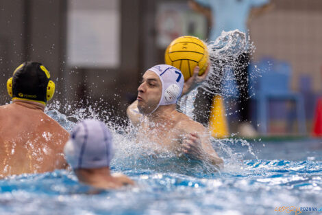 KS Waterpolo Poznań - ŁSTW Waterpolo Łódź  Foto: lepszyPOZNAN.pl/Piotr Rychter