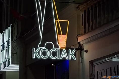 Kociak neon Sw. Marcin  Foto: ROSM 