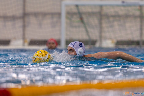 KS Waterpolo Poznań - ŁSTW Waterpolo Łódź  Foto: lepszyPOZNAN.pl/Piotr Rychter