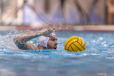 KS Waterpolo Poznań - ŁSTW Waterpolo Łódź  Foto: lepszyPOZNAN.pl/Piotr Rychter