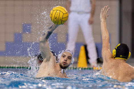 KS Waterpolo Poznań - ŁSTW Waterpolo Łódź  Foto: lepszyPOZNAN.pl/Piotr Rychter