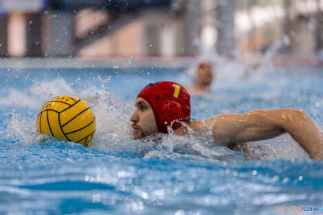 KS Waterpolo Poznań - ŁSTW Waterpolo Łódź  Foto: lepszyPOZNAN.pl/Piotr Rychter