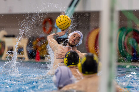 KS Waterpolo Poznań - ŁSTW Waterpolo Łódź  Foto: lepszyPOZNAN.pl/Piotr Rychter