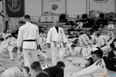 Brother Champion Judo Camp  Foto: materiały prasowe