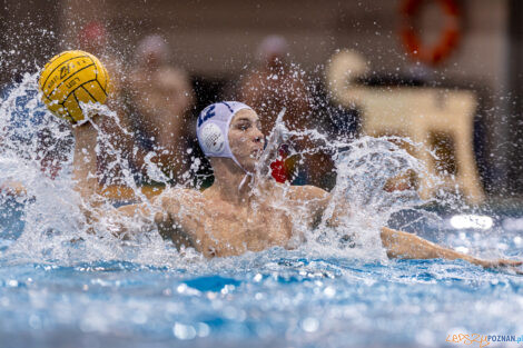 KS Waterpolo Poznań - ŁSTW Waterpolo Łódź  Foto: lepszyPOZNAN.pl/Piotr Rychter