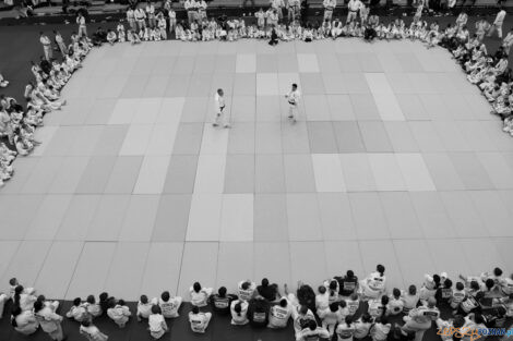 Brother Champion Judo Camp  Foto: materiały prasowe