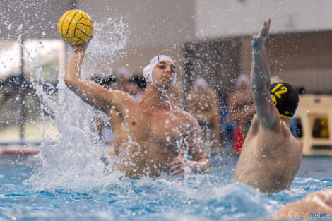 KS Waterpolo Poznań - ŁSTW Waterpolo Łódź  Foto: lepszyPOZNAN.pl/Piotr Rychter