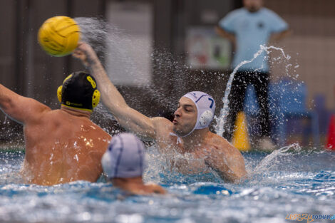 KS Waterpolo Poznań - ŁSTW Waterpolo Łódź  Foto: lepszyPOZNAN.pl/Piotr Rychter