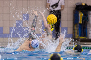 KS Waterpolo Poznań - ŁSTW Waterpolo Łódź  Foto: lepszyPOZNAN.pl/Piotr Rychter