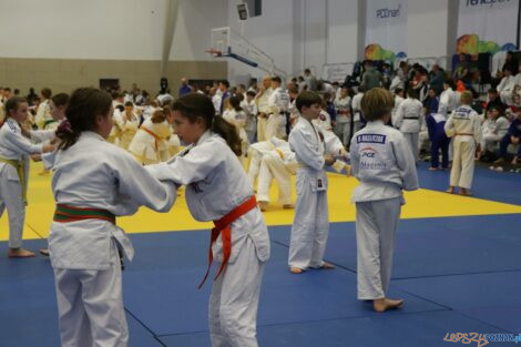 Brother Champion Judo Camp  Foto: materiały prasowe