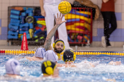 KS Waterpolo Poznań - ŁSTW Waterpolo Łódź  Foto: lepszyPOZNAN.pl/Piotr Rychter