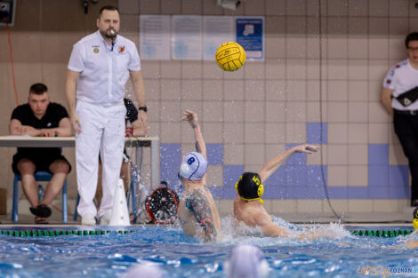 KS Waterpolo Poznań - ŁSTW Waterpolo Łódź  Foto: lepszyPOZNAN.pl/Piotr Rychter