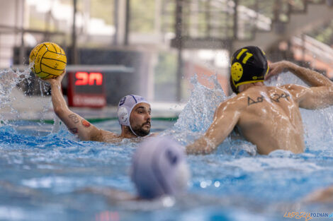 KS Waterpolo Poznań - ŁSTW Waterpolo Łódź  Foto: lepszyPOZNAN.pl/Piotr Rychter