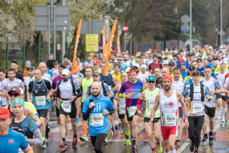 15. Poznań Półmaraton  Foto: lepszyPOZNAN.pl/Piotr Rychter