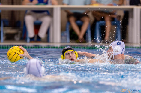 KS Waterpolo Poznań - ŁSTW Waterpolo Łódź  Foto: lepszyPOZNAN.pl/Piotr Rychter