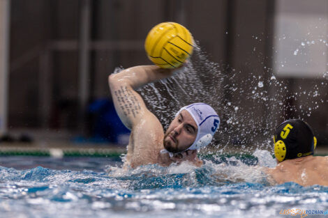 KS Waterpolo Poznań - ŁSTW Waterpolo Łódź  Foto: lepszyPOZNAN.pl/Piotr Rychter