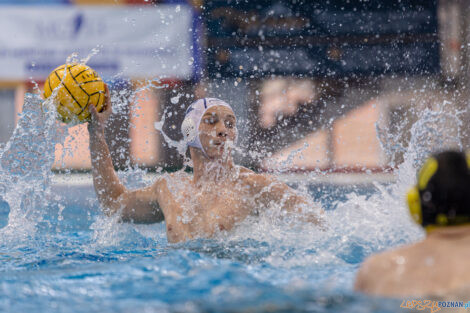 KS Waterpolo Poznań - ŁSTW Waterpolo Łódź  Foto: lepszyPOZNAN.pl/Piotr Rychter