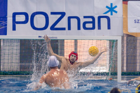 KS Waterpolo Poznań - ŁSTW Waterpolo Łódź  Foto: lepszyPOZNAN.pl/Piotr Rychter