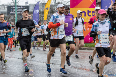 15. Poznań Półmaraton  Foto: lepszyPOZNAN.pl/Piotr Rychter