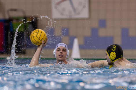 KS Waterpolo Poznań - ŁSTW Waterpolo Łódź  Foto: lepszyPOZNAN.pl/Piotr Rychter