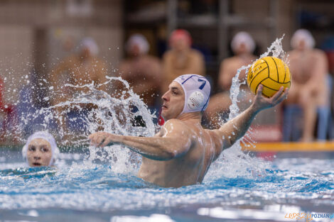 KS Waterpolo Poznań - ŁSTW Waterpolo Łódź  Foto: lepszyPOZNAN.pl/Piotr Rychter