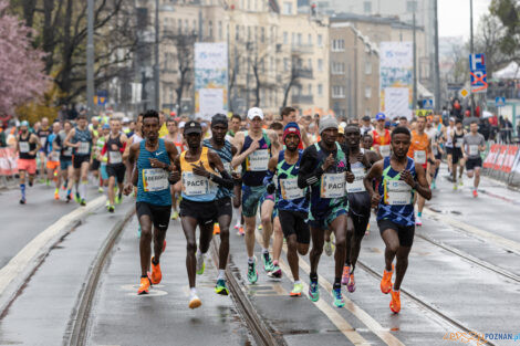 15. Poznań Półmaraton  Foto: lepszyPOZNAN.pl/Piotr Rychter