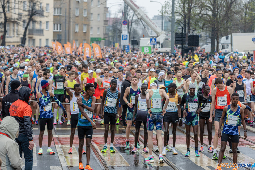 15. Poznań Półmaraton  Foto: lepszyPOZNAN.pl/Piotr Rychter