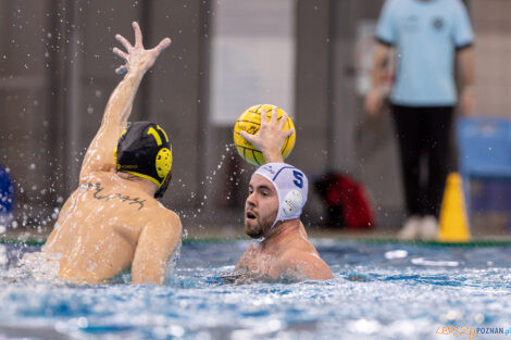 KS Waterpolo Poznań - ŁSTW Waterpolo Łódź  Foto: lepszyPOZNAN.pl/Piotr Rychter